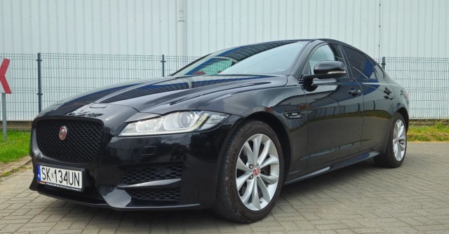 jaguar