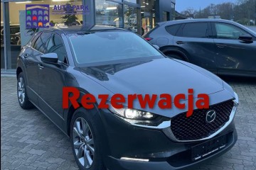 180Ps. Automat MildHybryd HUD Skóra Kam.360 Elk.Klapa 2021